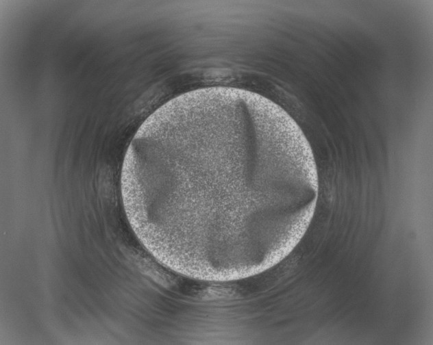 X0000080190270200701051730