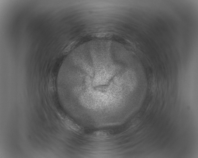 X0000080190272200701051731