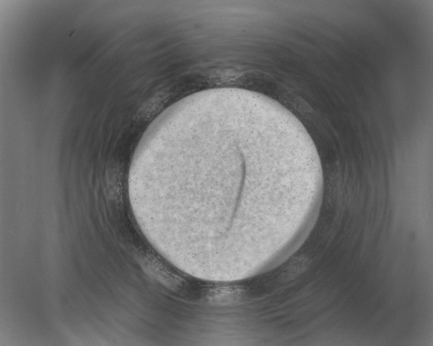 X0000080190274200701051731