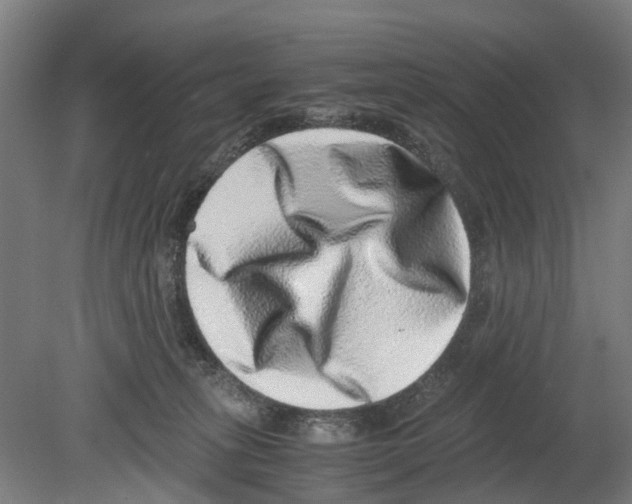 X0000080190275200701051731