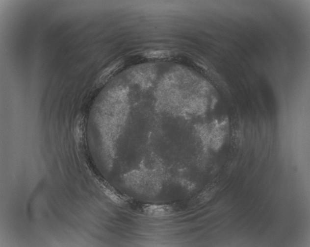 X0000080190277200701051731