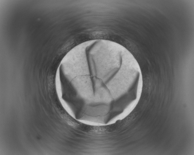 X0000080190278200701051731