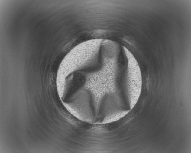 X0000080190280200701051731