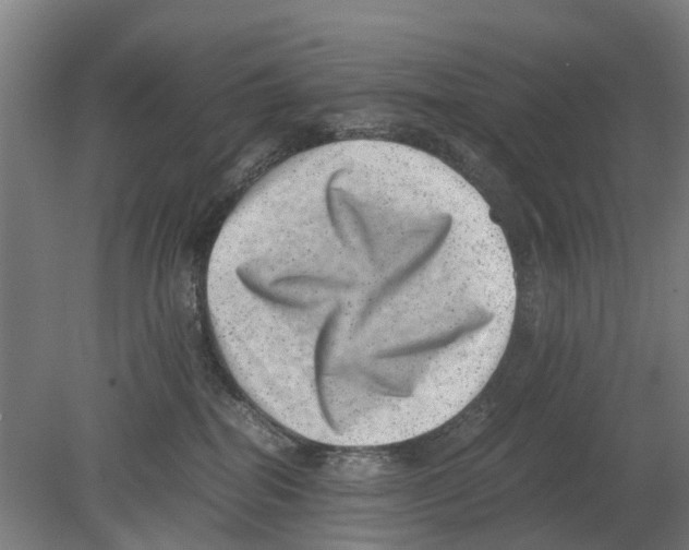 X0000080190282200701051731