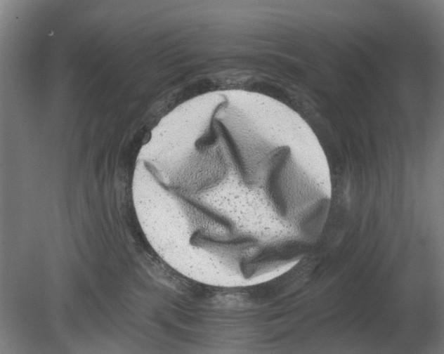 X0000080190283200701051731