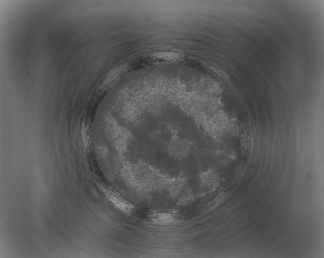 X0000080190285200701051731