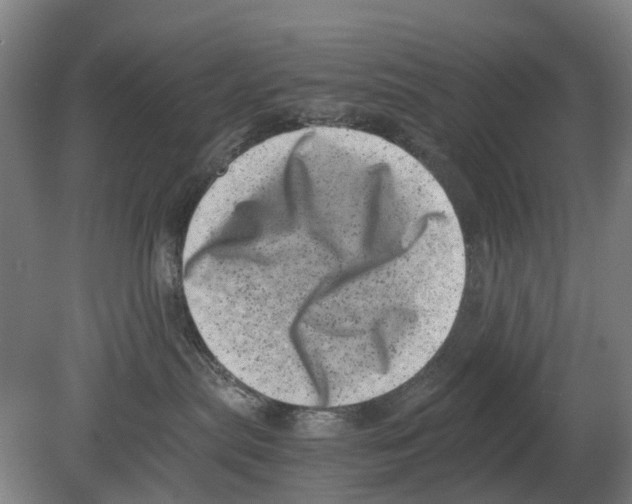 X0000080190287200701051731