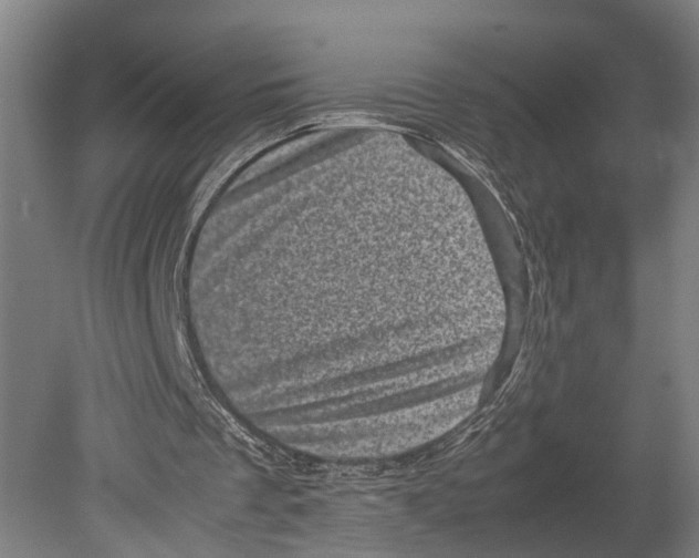 X0000080190289200701051730