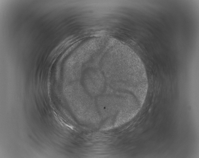 X0000080190290200701051730