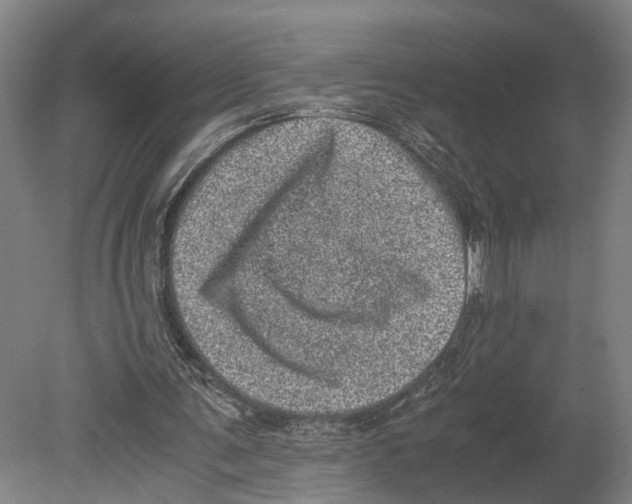 X0000080190291200701051730