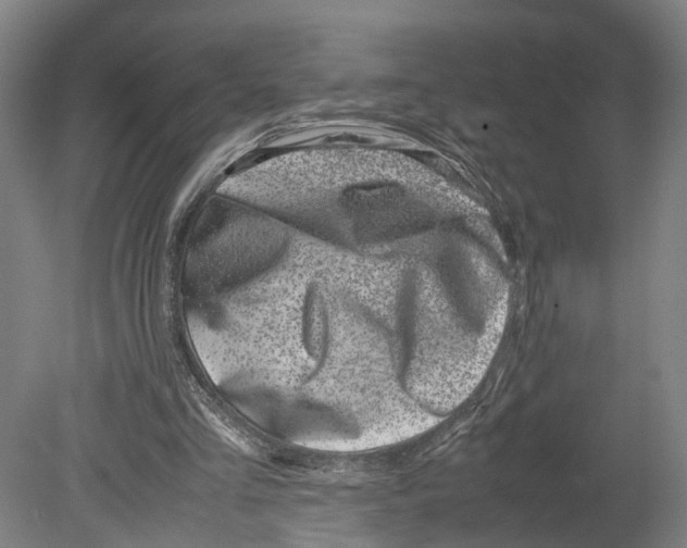 X0000080190293200701051730