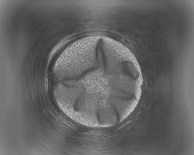 X0000080190294200701051730