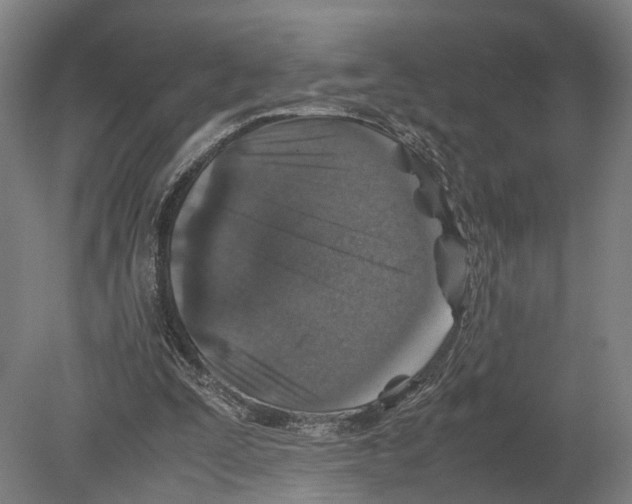 X0000080190295200701051730