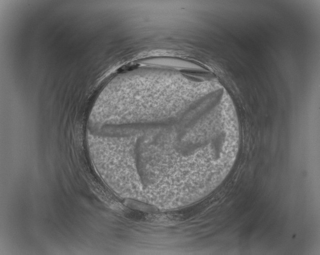 X0000080190297200701051730