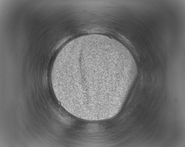 X0000080190298200701051730