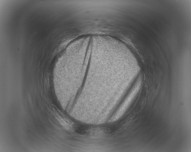 X0000080190299200701051730