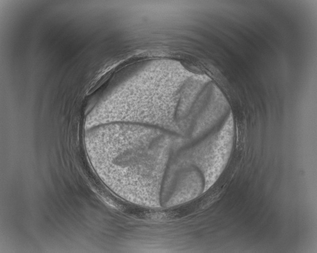 X0000080190301200701051730