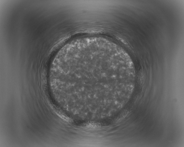 X0000080190303200701051730