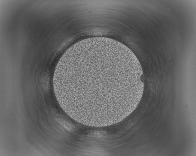 X0000080190304200701051730