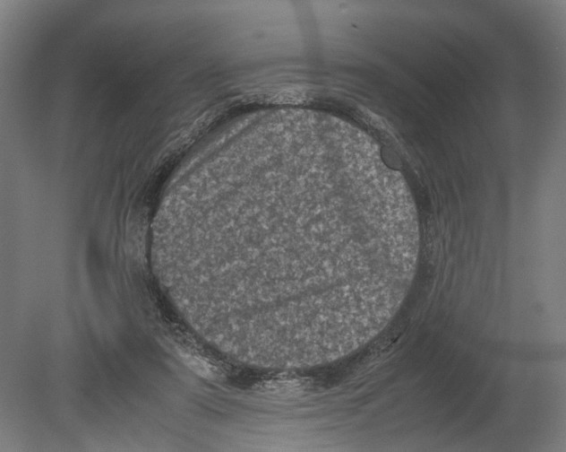 X0000080190307200701051730