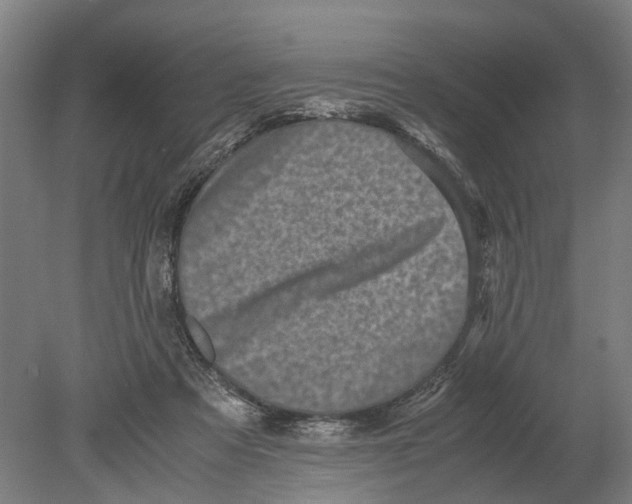 X0000080190313200701051730