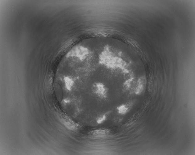 X0000080190314200701051730