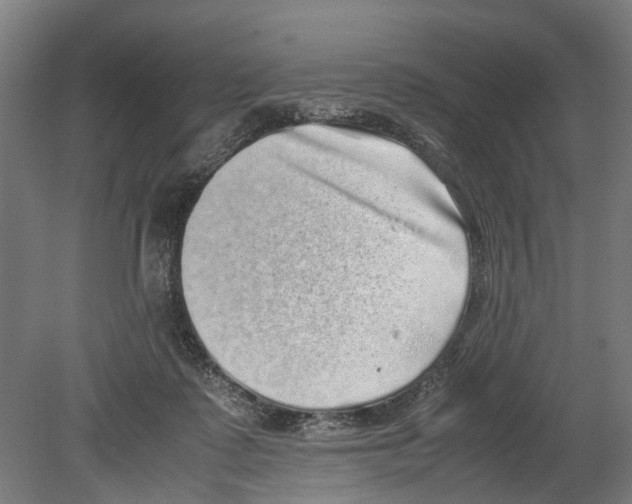 X0000080190315200701051730