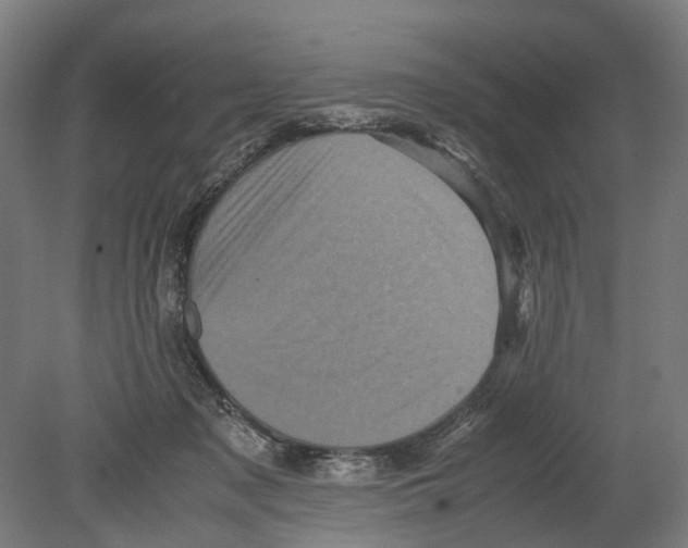 X0000080190317200701051729