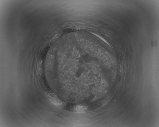 X0000080190319200701051729