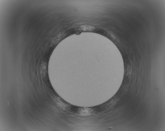 X0000080190321200701051729