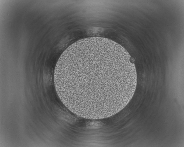 X0000080190324200701051729