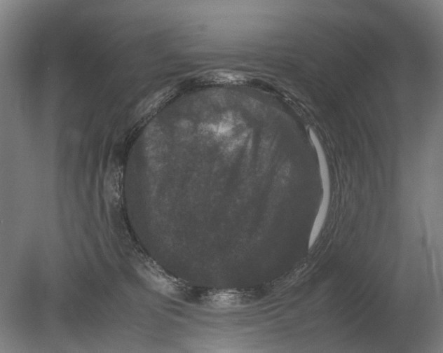 X0000080190325200701051729