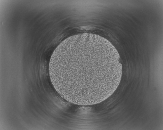 X0000080190328200701051729