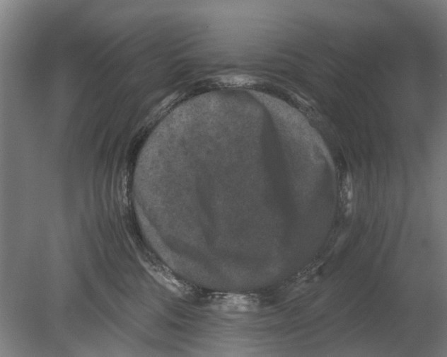 X0000080190330200701051729