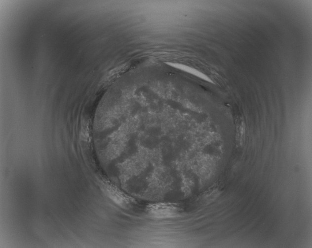 X0000080190331200701051729