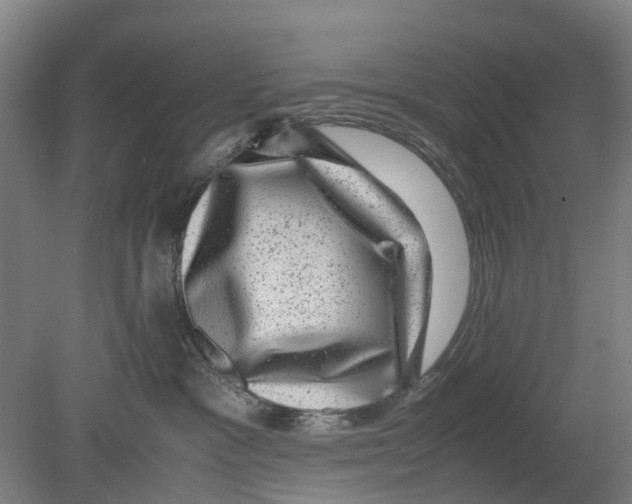 X0000080190333200701051729