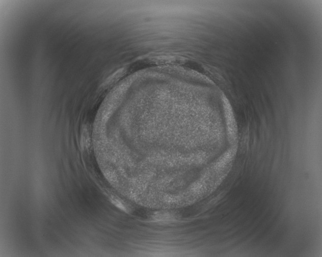 X0000080190335200701051729