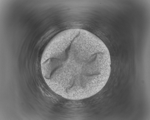 X0000080190338200701051728