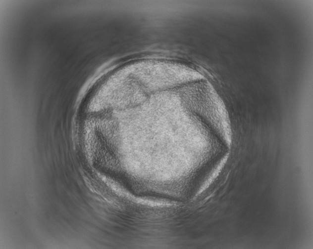 X0000080190343200701051728