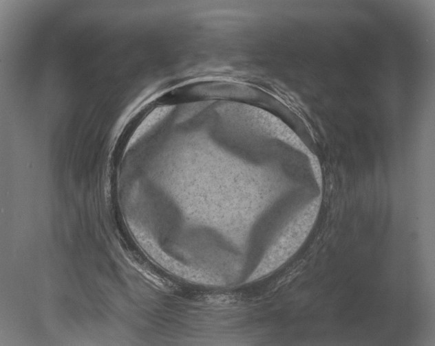 X0000080190344200701051728