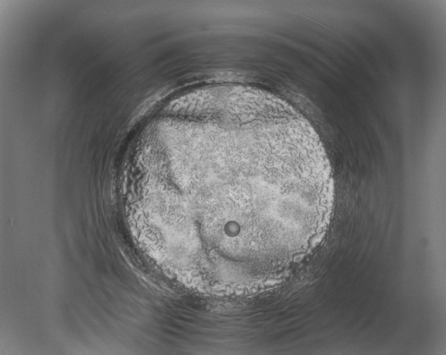 X0000080190347200701051729