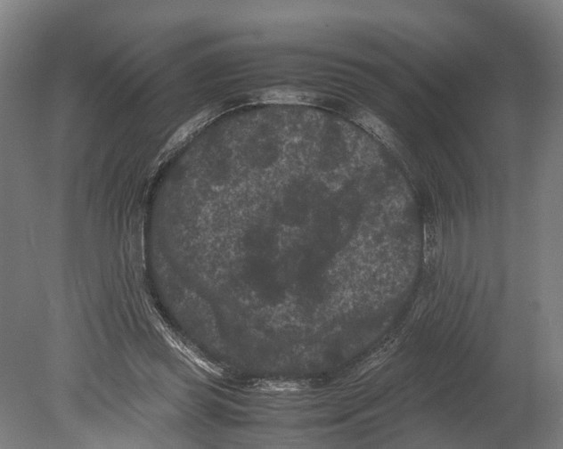 X0000080190349200701051729