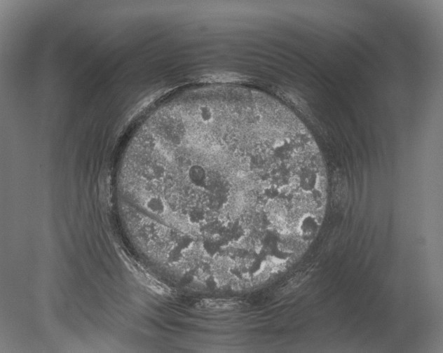 X0000080190351200701051729