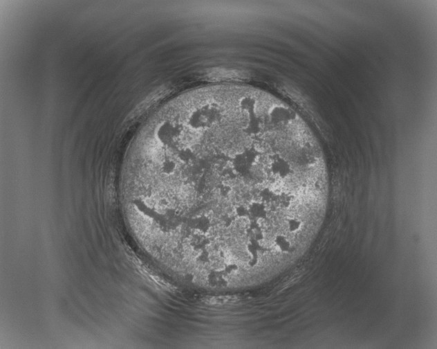 X0000080190353200701051729