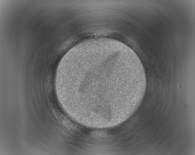 X0000080190354200701051729