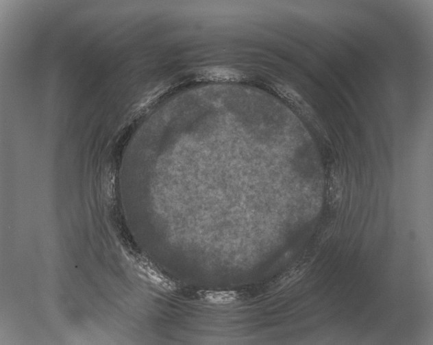 X0000080190355200701051729