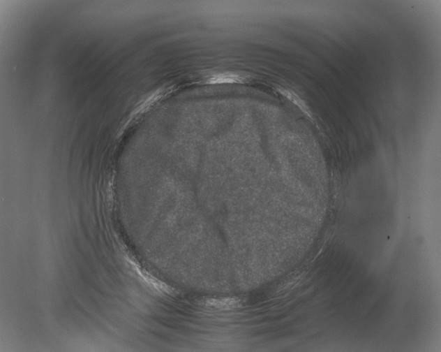 X0000080190357200701051729