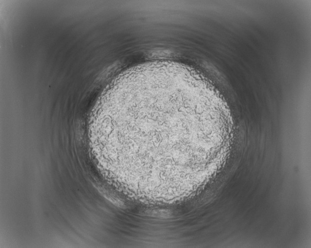 X0000080190361200701051729