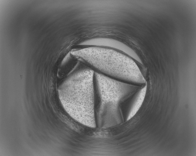 X0000080190362200701051729