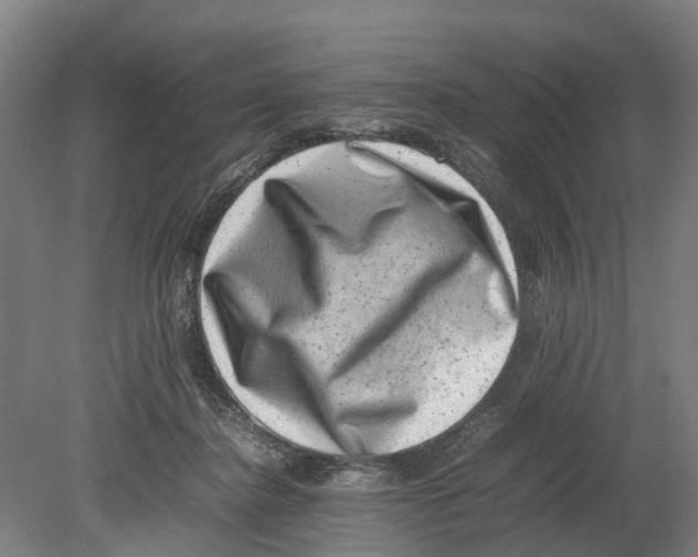 X0000080190364200701051729